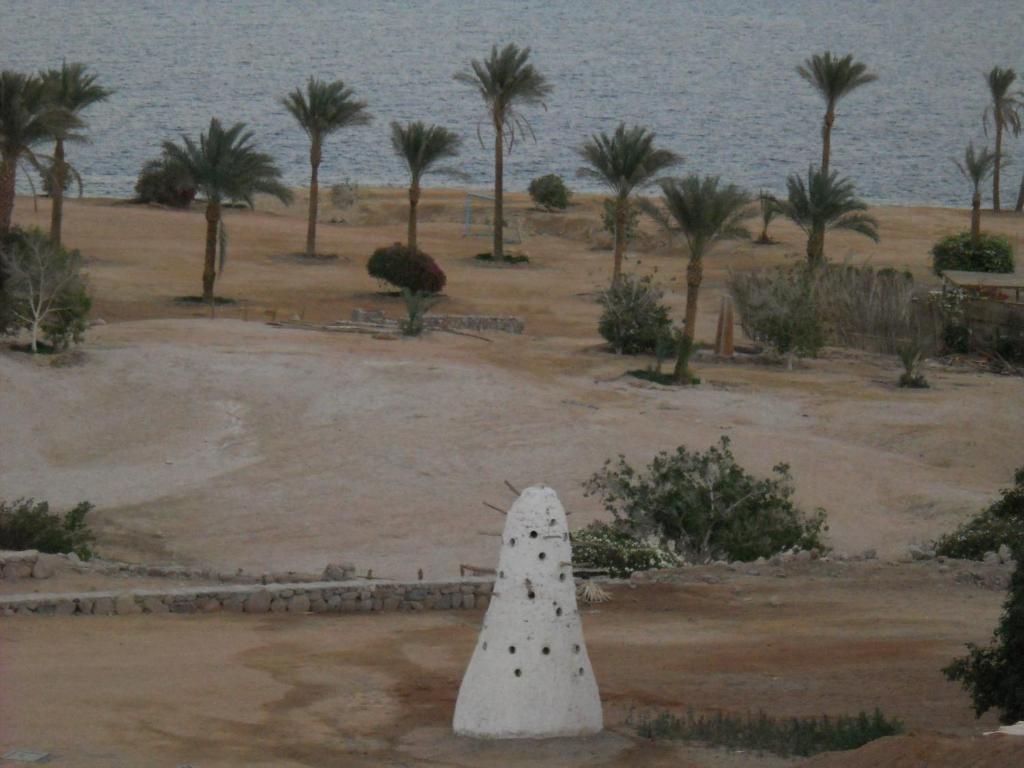 Royal Paradise Resort Sharm el-Sheikh Exterior photo